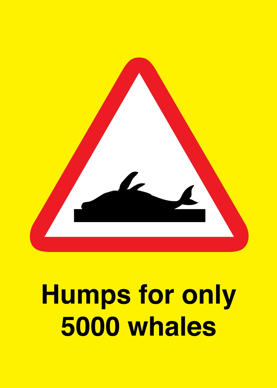 Humps for only 5000 whales